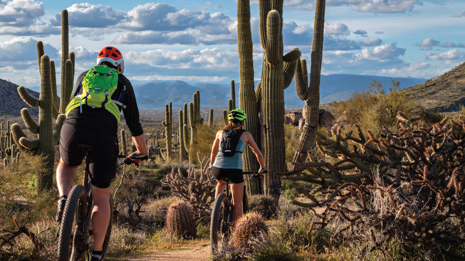 Clear Vision and Protection: Best Sunglasses for Mountain Biking